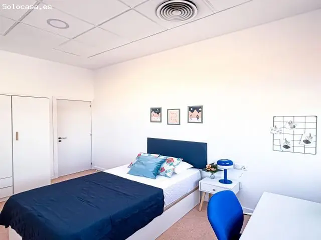 Habitacion Villa Estudiantes Universidad Alicante