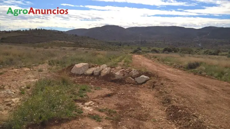 Venta  de Terreno de regadío en Castellón