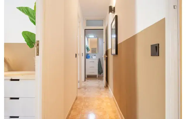 Alquiler Apartamento 5 Dormitorios Barcelona Calle Pelai