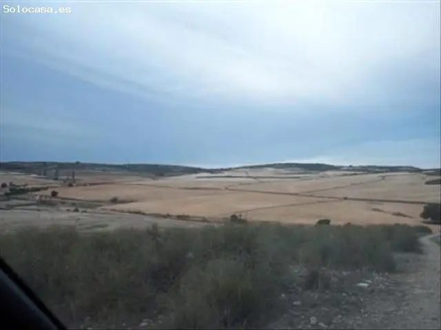 Terreno Rustico en Venta Almansa Albacete