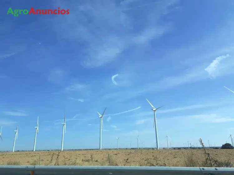 Compra  de Fincas para placas solares en Alicante