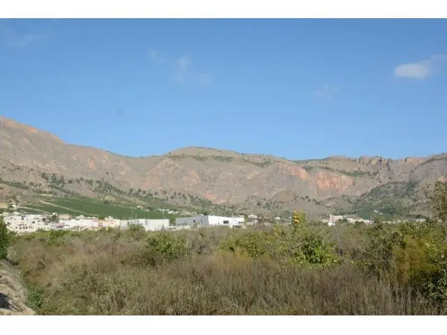 Parcela Rustica 5600m2 Orihuela Naranjos Riego Tradicional