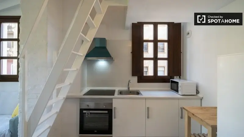 Apartamento 1 Dormitorio Valencia