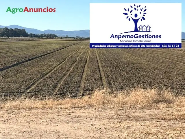 Venta  de Finca labor de regadío en Cádiz