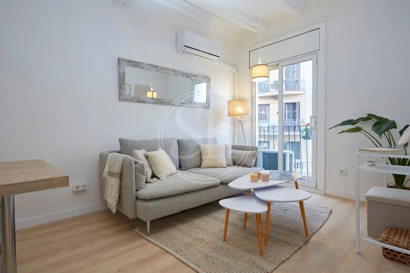 Apartamento en Alquiler Barcelona Ciutat Vella 50m2 Amueblado
