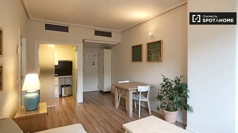 Apartamento en Madrid 1 Dormitorio 1 Baño Spotahome