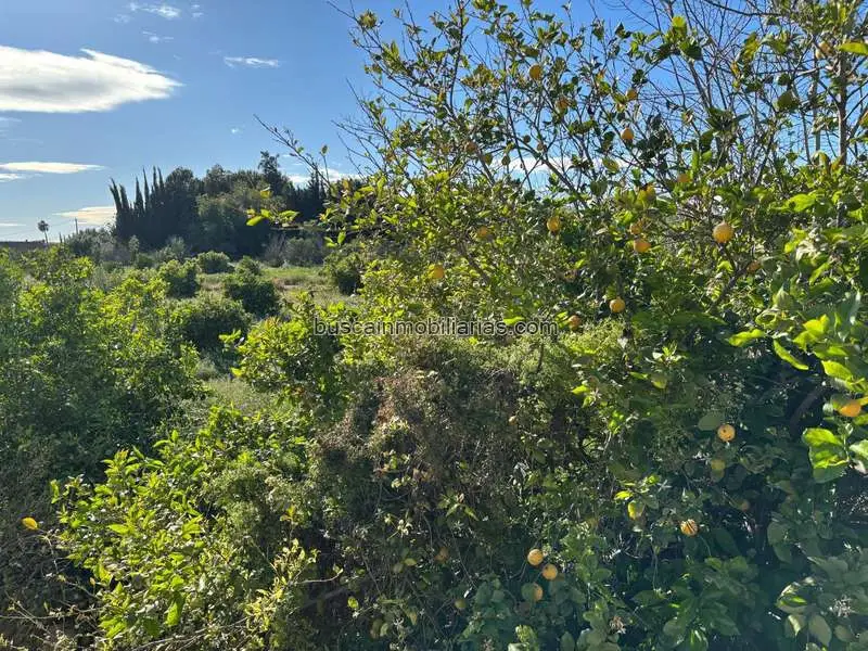Parcela en venta Murcia: Chalet 300m2, cerca parque Monteagudo