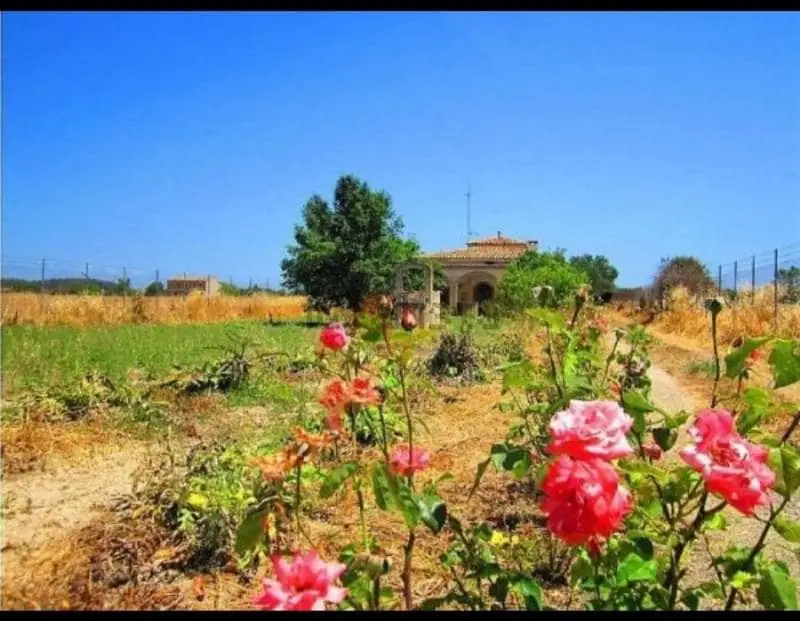 Chalet en Venta Mallorca Sant Joan 186m2 2700m2 Terreno
