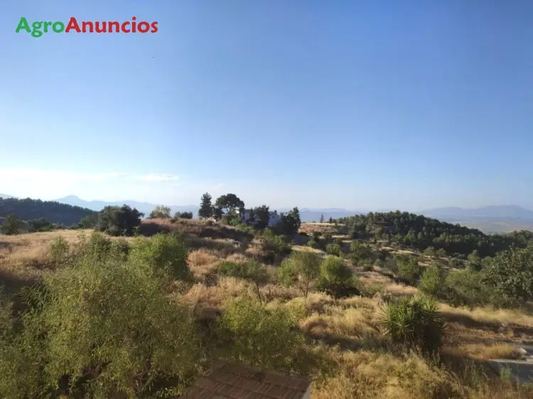 Venta  de Finca turismo rural o recreo en Murcia