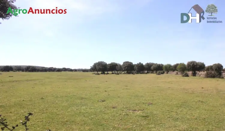 Venta  de Finca ganadera de vacuno en Salamanca