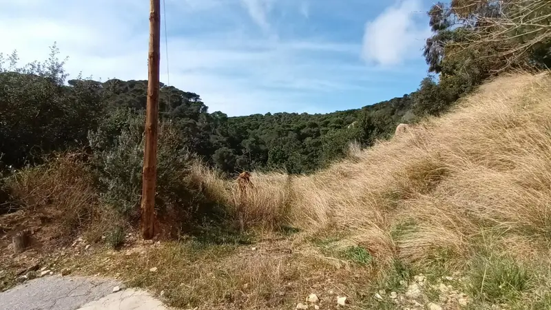 Venta Terreno Serra Brava Lloret de Mar 800m2 Vistas al Mar