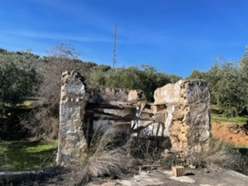 Finca en Fuente De Cesna, Granada provincia