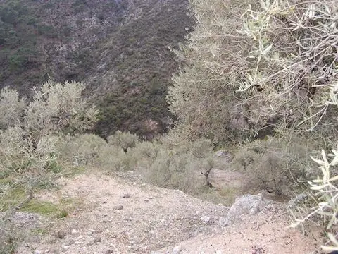 Terreno en Venta en Competa