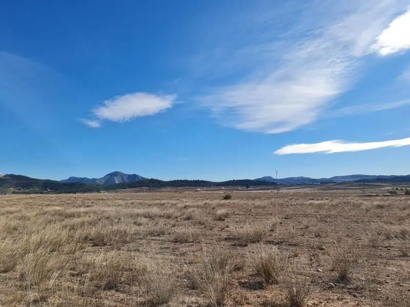 Terreno en Venta Pinoso Alicante 10070m2