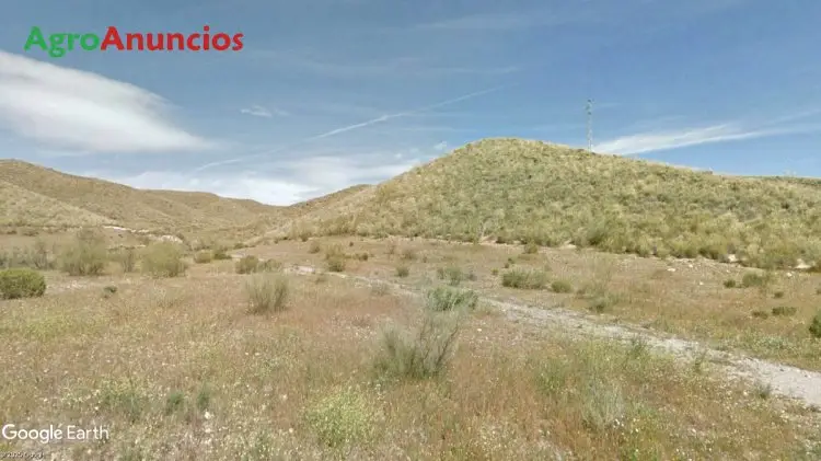 Venta  de Finca forestal y agricola en Almería