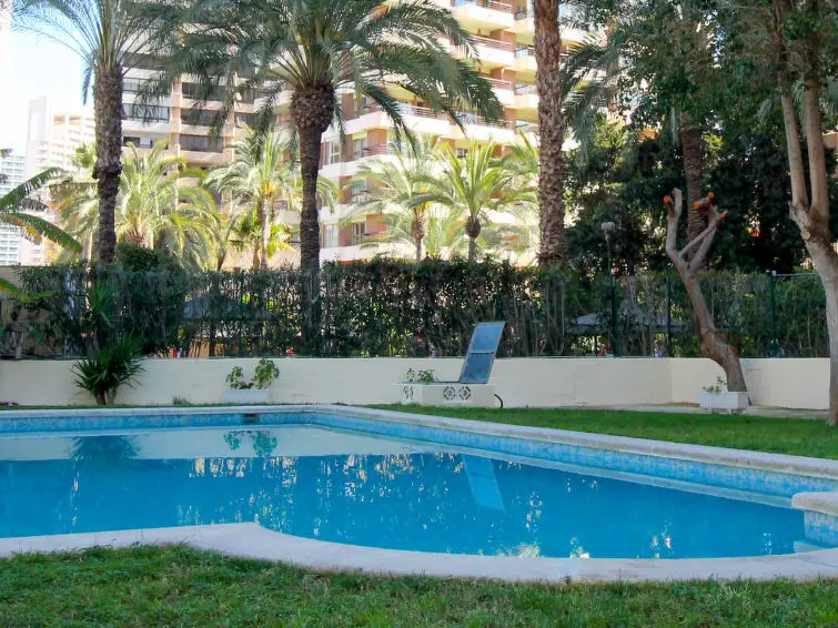 Apartamento 1 Dormitorio Benidorm Alquiler Cerca Playa