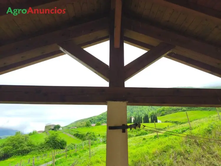 Venta Finca con Casa y Granja en Navarra