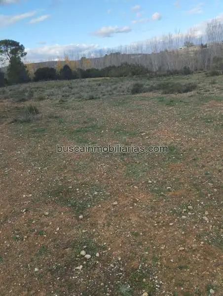Parcela Rustica en Venta L'Olleria 15847m2