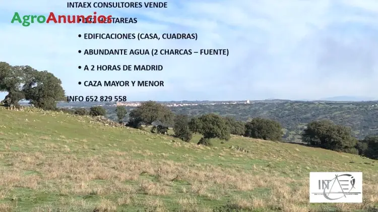 Venta  de Finca ganadera con casa en Cáceres