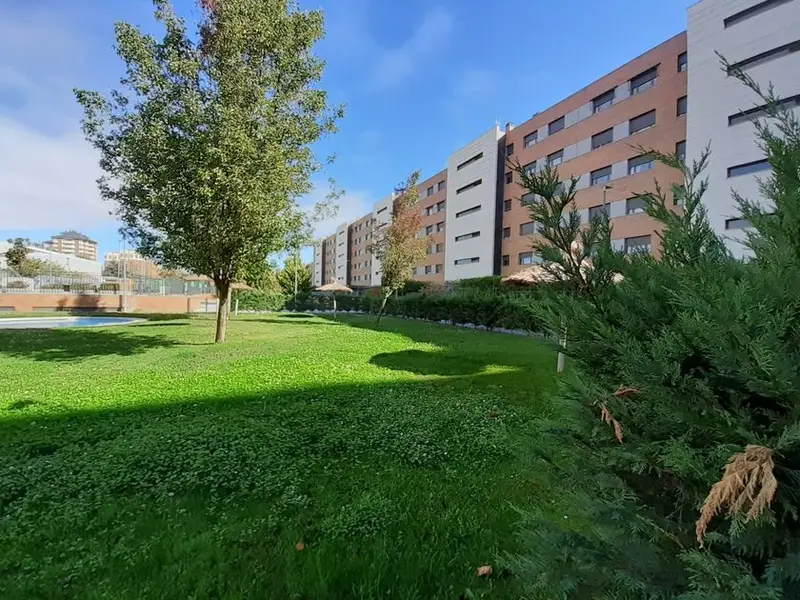 alquiler Piso en Valladolid, Valladolid Provincia (102301)- Globaliza