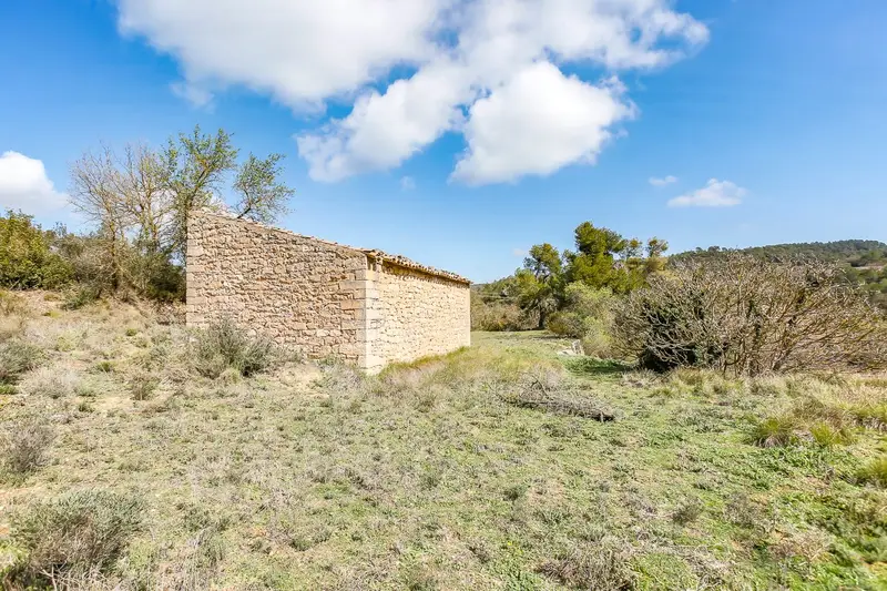Finca Rustica Vinaixa 43849m2