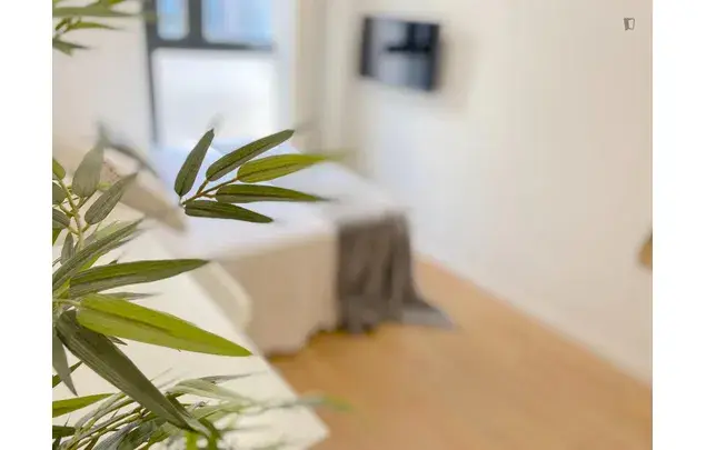 Apartamento 5 Dormitorios Cerca Centro Sevilla Estudiantes