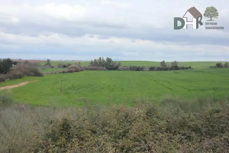 Finca Rustica en Badajoz 420 Has