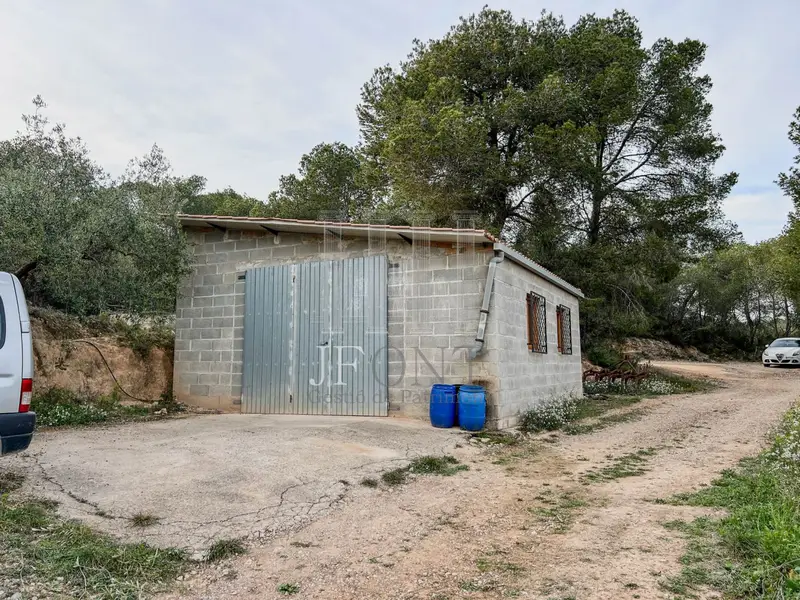 Venta Finca Buenas Vistas Mora d'Ebre