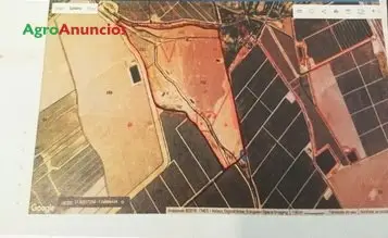 Venta  de Finca de regadío en Murcia