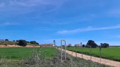Casa Campo de Criptana 1017m2  113 Hectareas Inversores