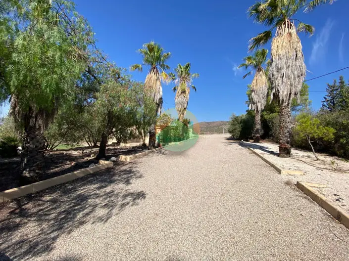 Finca 3 Dormitorios Totana Morti Alto Venta