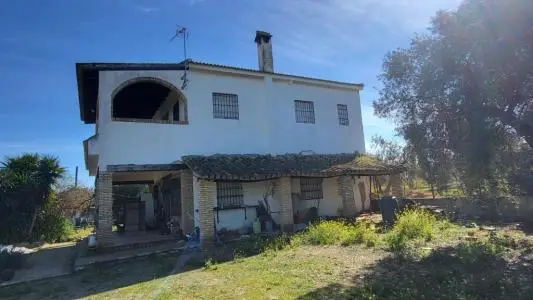 Finca en Pilas con Bodega de Vino y Piscina