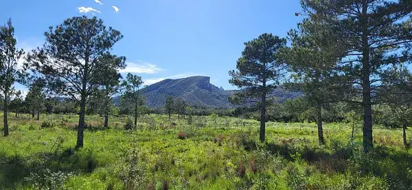 Finca Rustica en Roquetes Tarragona 173ha