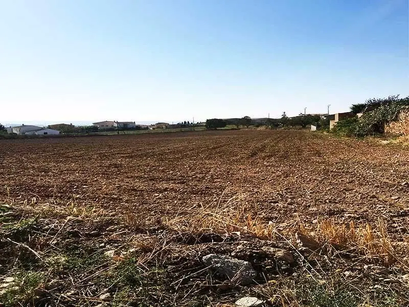 Venta Solar Urbanizable Sant Jaume dels Domenys 15000m2