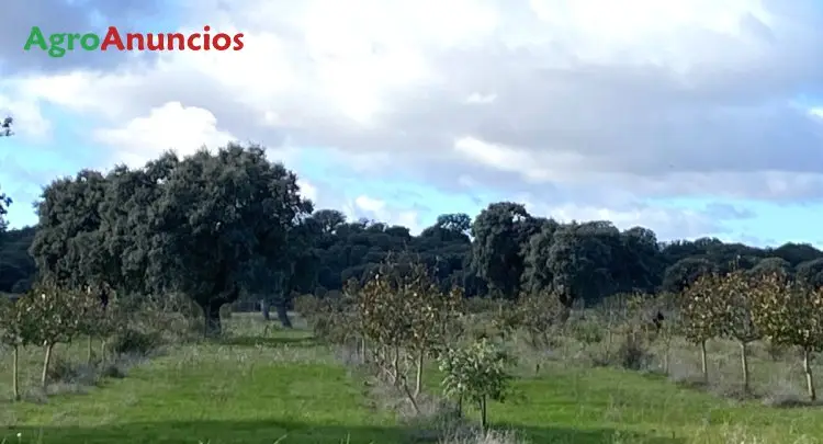 Finca de Regadío 20 Hectáreas cerca Benavente