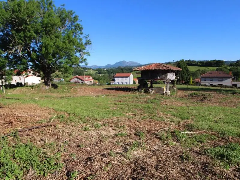 venta Terreno en Pola de Siero, Asturias (12139)- Globaliza