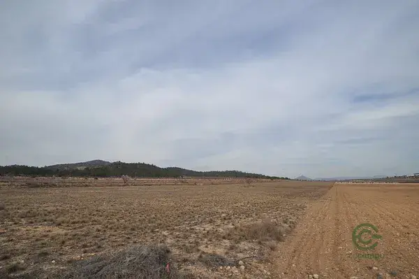 Amplia Parcela en Venta cerca de Monovar