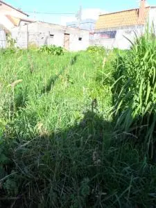 Chalet adosado en venta Santa Cristina Vigo Pontevedra