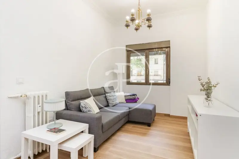 Alquiler Piso Exterior Delicias Madrid 2 Dormitorios Amueblado