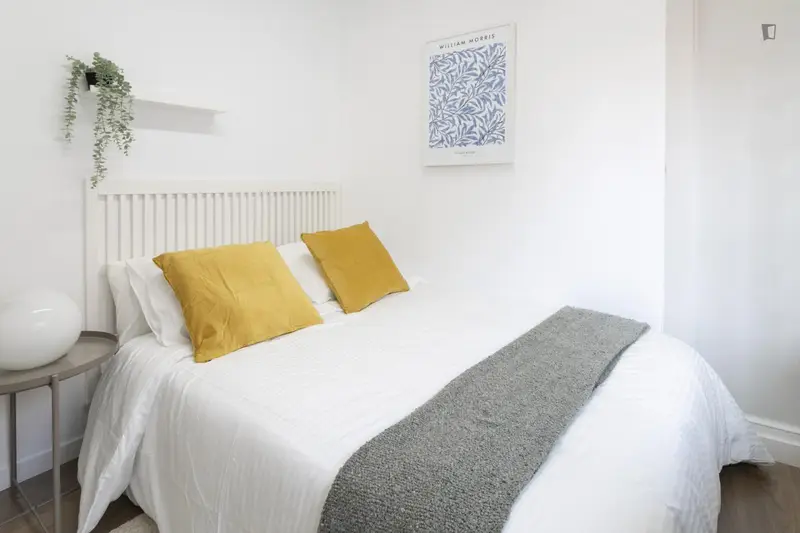 Coliving Alicante Habitaciones Amuebladas Servicios Incluidos