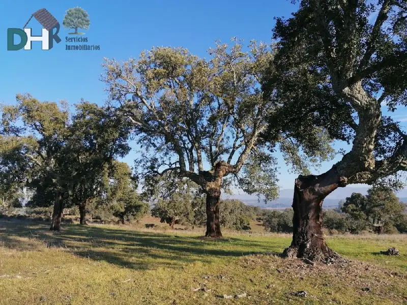 Venta Finca Rustica 700 Hectareas Casa 800m2 Piscina Ganaderia