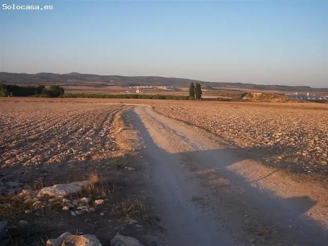 Terreno Rustico en Venta Almansa