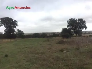 Venta  de Fincas de labor secano en Palencia