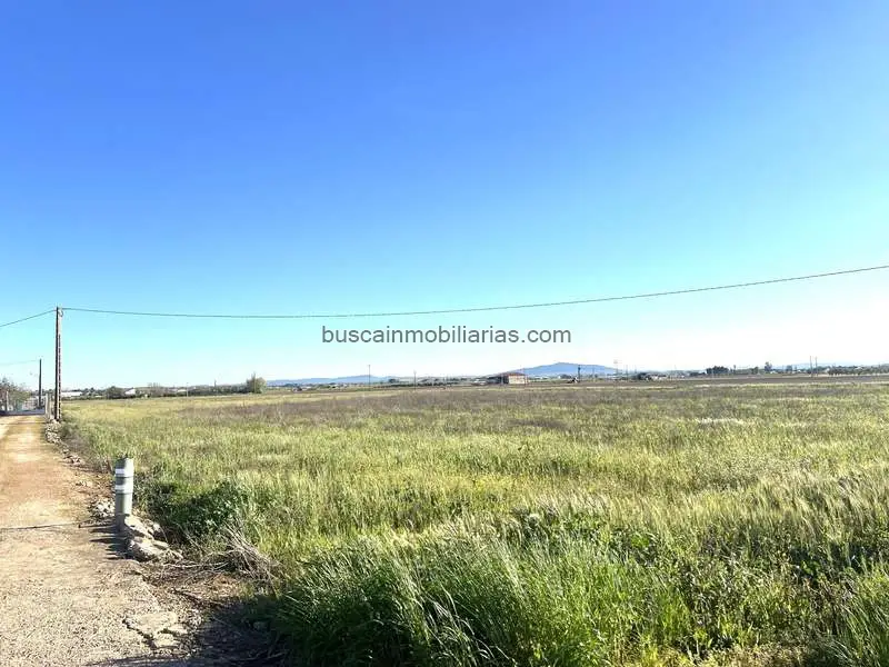 Finca Rustica en Venta Don Benito Regadio