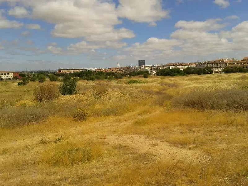 Venta Terreno Cerro Del Viento Badajoz