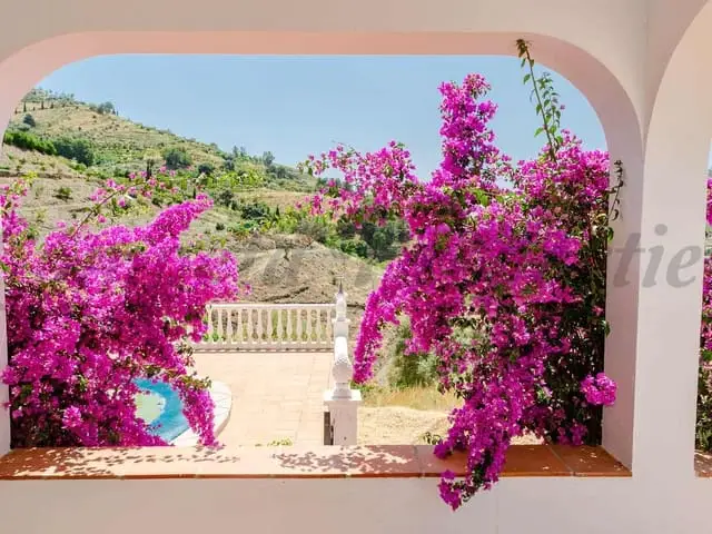 Villa 5 Dormitorios Venta Cómpeta Torrox