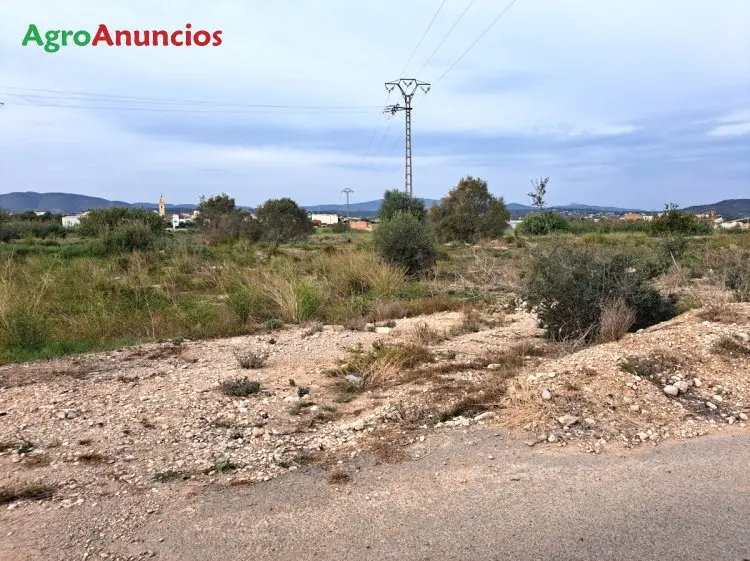 Venta  de Finca de regadío en Valencia