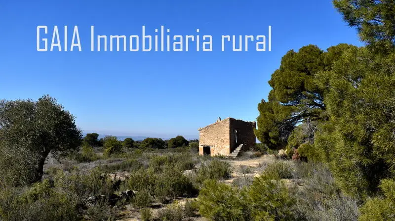 Casa de Campo en Maella Zaragoza 43000m2