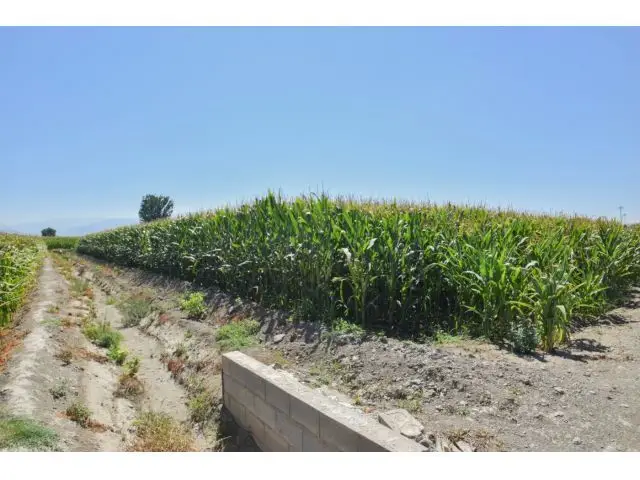 Finca Rustica Riego Belicena 2600m2 Cinco Marjales