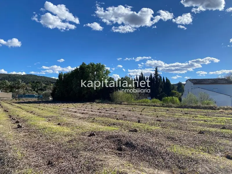 Venta Finca Ontinyent Terrenos Agricolas